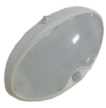 Light - LED - Motion Sensor - Bead Lens - w/Switch - w/On & Motion Options