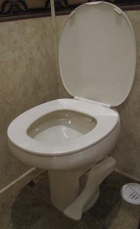 Toilet - Aqua- Magic Style II - High - Bone - (CS ONLY)